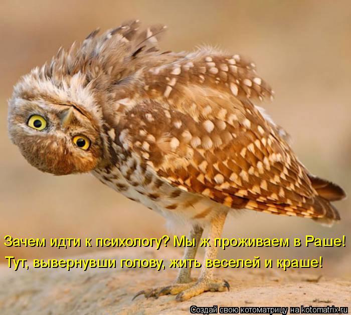 Котоматрица: Зачем идти к психологу? Мы ж проживаем в Раше! Тут, вывернувши голову, жить веселей и краше!