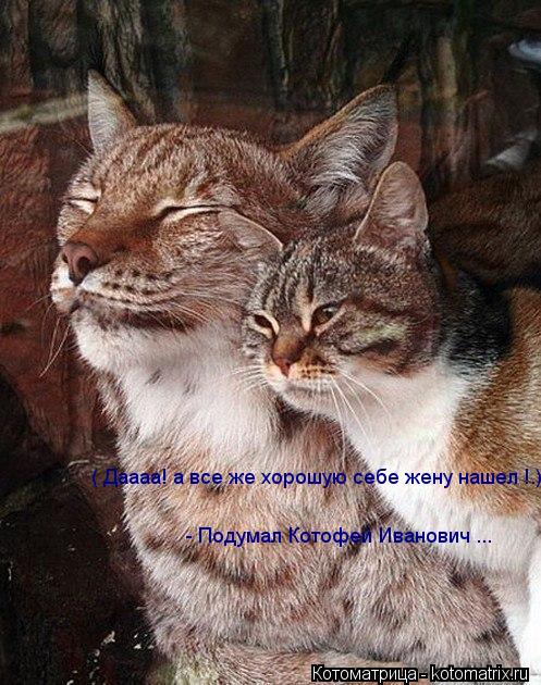 - Подумал Котофей Иванович ... ( Даааа! а все же хорошую себе жену нашел !.)... Котоматрица: - Подумал Котофей Иванович ... ( Даааа! а все же хорошую себе жену нашел !.)