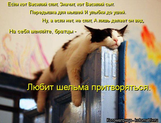 Если кот Василий спит, Значит, кот Василий сыт. Передышка для мышей И улыбки до ушей. Ну, а если ... Котоматрица: Если кот Василий спит, Значит, кот Василий сыт. Передышка для мышей И улыбки до ушей. Ну, а если нет, не спит, А лишь делает он вид, На себя м