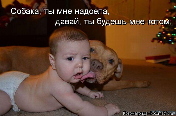 Котоматрица: Собака, ты мне надоела, давай, ты будешь мне котом.