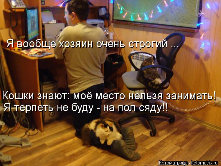 http://kotomatrix.ru/images/lolz/2013/07/10/kotomatritsa_cp.jpg