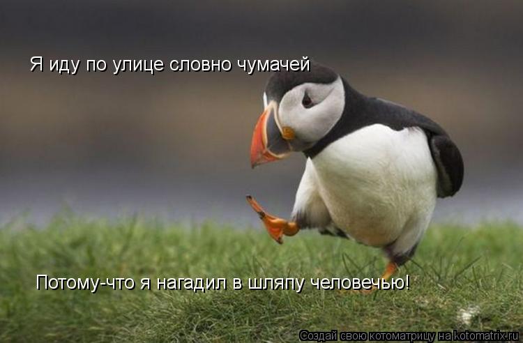 Котоматрица: Я иду по улице словно чумачей Потому-что я нагадил в шляпу человечью!