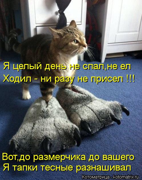 Я целый день не спал,не ел Ходил - ни разу не присел !!! Вот,до размерчика до вашего Я тапки тесные р... Котоматрица: Я целый день не спал,не ел Ходил - ни разу не присел !!! Вот,до размерчика до вашего Я тапки тесные разнашивал