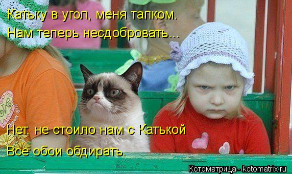 Катьку в угол, меня тапком. Нам теперь несдобровать… Нет, не стоило нам с Катькой Все обои обдирать.... Котоматрица: Катьку в угол, меня тапком. Нам теперь несдобровать… Нет, не стоило нам с Катькой Все обои обдирать.
