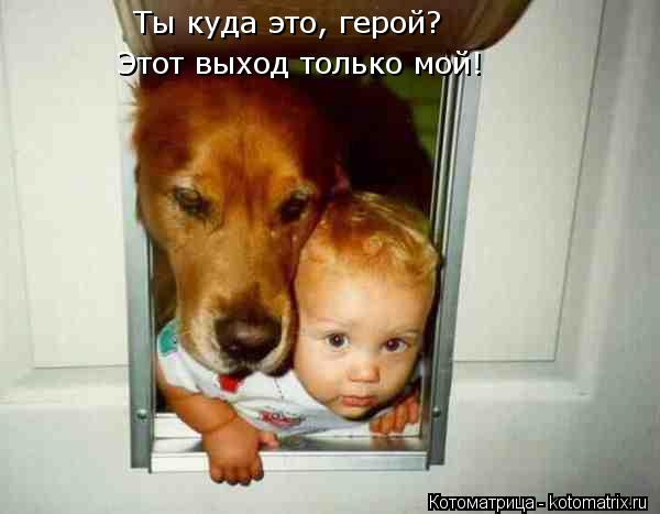 Этот выход только мой! Ты куда это, герой?... Котоматрица: Этот выход только мой! Ты куда это, герой?