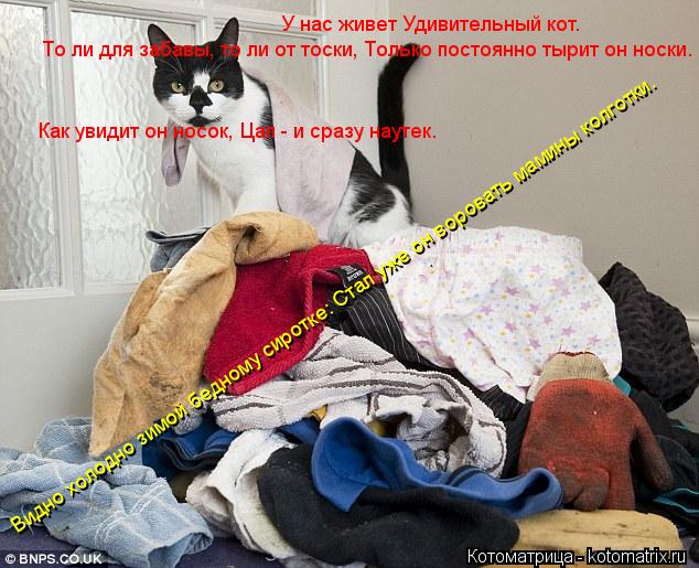 У нас живет Удивительный кот. То ли для забавы, то ли от тоски, Только постоянно тырит он носки. ... Котоматрица: У нас живет Удивительный кот. То ли для забавы, то ли от тоски, Только постоянно тырит он носки. Как увидит он носок, Цап - и сразу наутек. В