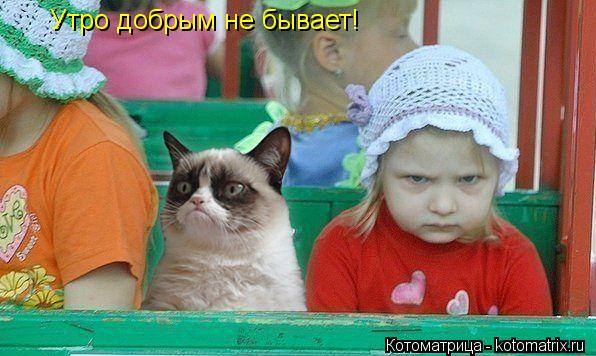 Утро добрым не бывает!... Котоматрица: Утро добрым не бывает!