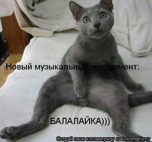 Котоматрица: Новый музыкальный инструмент: БАЛАЛАЙКА)))