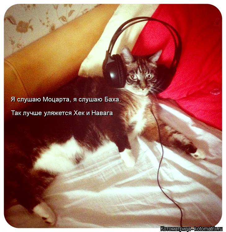 Я слушаю Моцарта, я слушаю Баха. Так лучше уляжется Хек и Навага... Котоматрица: Я слушаю Моцарта, я слушаю Баха. Так лучше уляжется Хек и Навага