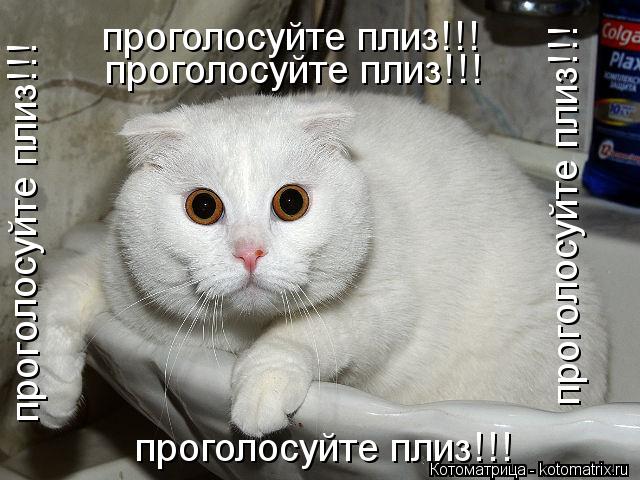 проголосуйте плиз!!! проголосуйте плиз!!! проголосуйте плиз!!! проголосуйте плиз!!! проголосуйте плиз... Котоматрица: проголосуйте плиз!!! проголосуйте плиз!!! проголосуйте плиз!!! проголосуйте плиз!!! проголосуйте плиз!!!