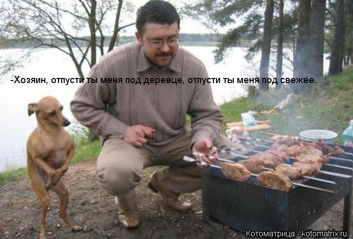 -Хозяин, отпусти ты меня под деревце, отпусти ты меня под свежее.... Котоматрица: -Хозяин, отпусти ты меня под деревце, отпусти ты меня под свежее.