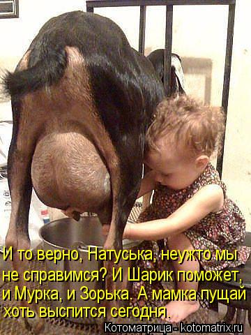 http://kotomatrix.ru/images/lolz/2013/07/10/kotomatritsa_pn.jpg