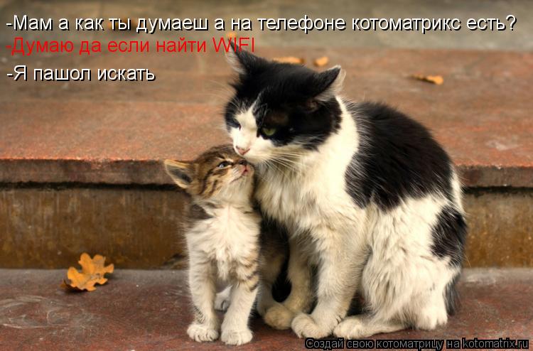 -Мам а как ты думаеш а на телефоне котоматрикс есть? -Думаю да если найти WIFI -Я пашол искать... Котоматрица: -Мам а как ты думаеш а на телефоне котоматрикс есть? -Думаю да если найти WIFI -Я пашол искать
