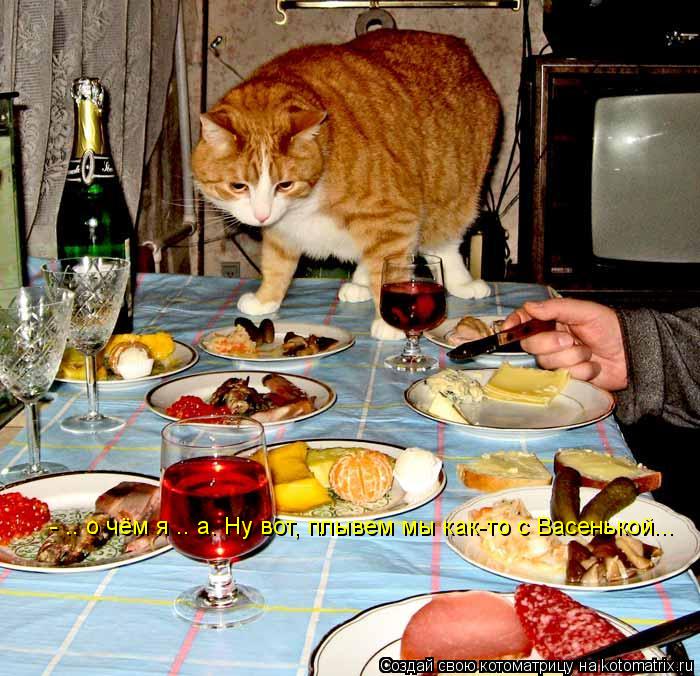 - .. о чём я .. а. Ну вот, плывем мы как-то с Васенькой...... Котоматрица: - .. о чём я .. а. Ну вот, плывем мы как-то с Васенькой...