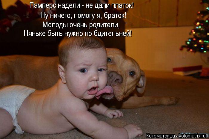 Котоматрица: Ну ничего, помогу я, браток! Памперс надели - не дали платок!  Молоды очень родители, Няньке быть нужно по бдительней!