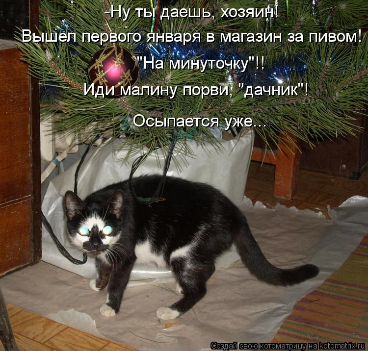 -Ну ты даешь, хозяин! Вышел первого января в магазин за пивом! "На минуточку"!! Иди малину порви, ... Котоматрица: -Ну ты даешь, хозяин! Вышел первого января в магазин за пивом! "На минуточку"!! Иди малину порви, "дачник"! Осыпается уже...
