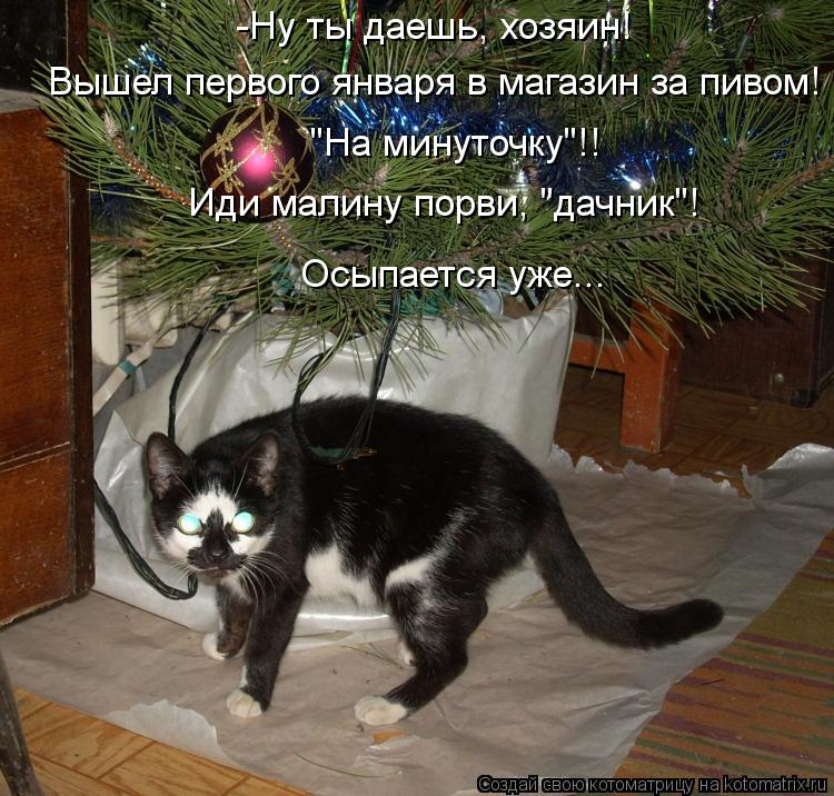 Котоматрица: -Ну ты даешь, хозяин!   Вышел первого января в магазин за пивом!  "На минуточку"!! Иди малину порви, "дачник"! Осыпается уже...