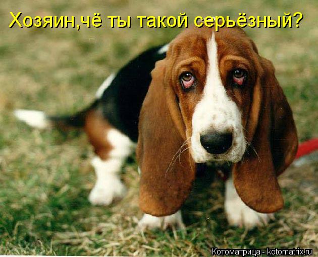 Хозяин,чё ты такой серьёзный?... Котоматрица: Хозяин,чё ты такой серьёзный?