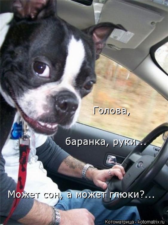 баранка, руки... Может сон, а может глюки?... Голова,... Котоматрица: баранка, руки... Может сон, а может глюки?... Голова,