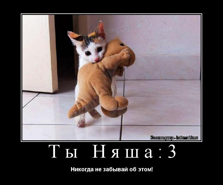 Ты Няша:3 Никогда не забывай об этом!... Котоматрица: Ты Няша:3 Никогда не забывай об этом!