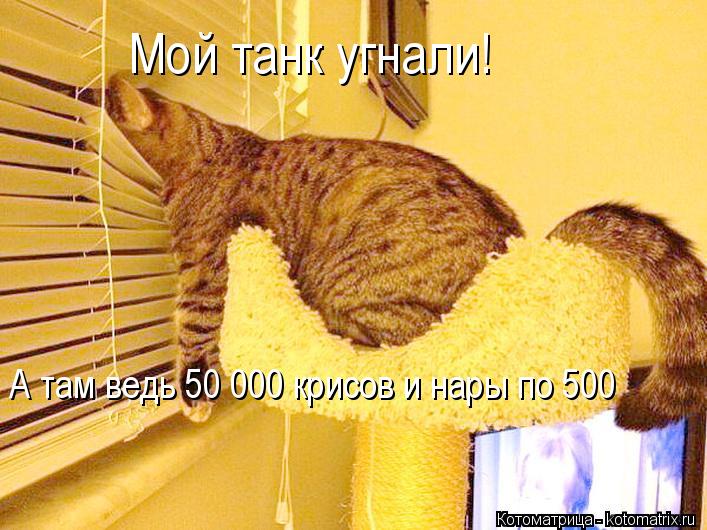 Мой танк угнали! А там ведь 50 000 крисов и нары по 500... Котоматрица: Мой танк угнали! А там ведь 50 000 крисов и нары по 500