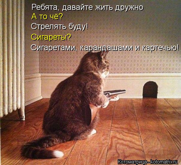 Ребята, давайте жить дружно Стрелять буду! А то чё? Сигареты? Сигаретами, карандашами и картечью!... Котоматрица: Ребята, давайте жить дружно Стрелять буду! А то чё? Сигареты? Сигаретами, карандашами и картечью!