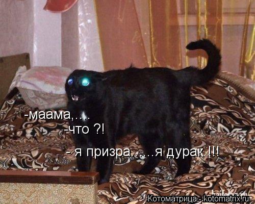 Котоматрица: -маама,....   -что ?! - я призра......я дурак !!!