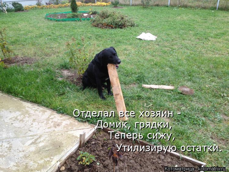 Отделал все хозяин - Домик, грядки, Теперь сижу, Утилизирую остатки.... Котоматрица: Отделал все хозяин - Домик, грядки, Теперь сижу, Утилизирую остатки.