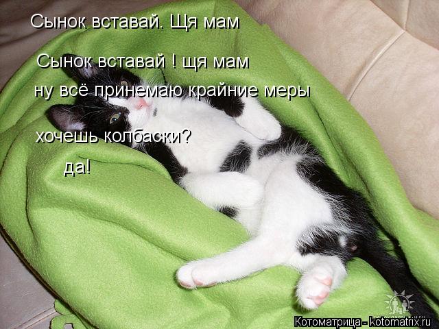 Сынок вставай. Щя мам Сынок вставай ! щя мам ну всё принемаю крайние меры хочешь колбаски? да!... Котоматрица: Сынок вставай. Щя мам Сынок вставай ! щя мам ну всё принемаю крайние меры хочешь колбаски? да!