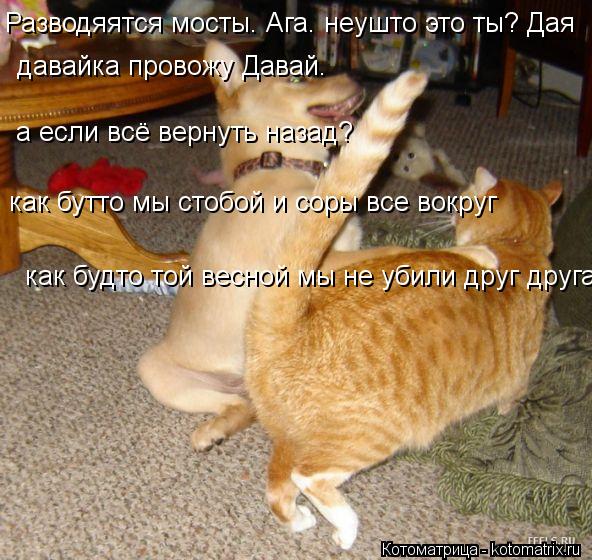 Разводяятся мосты. Ага. неушто это ты? Дая давайка провожу Давай. а если всё вернуть назад? как бутт... Котоматрица: Разводяятся мосты. Ага. неушто это ты? Дая давайка провожу Давай. а если всё вернуть назад? как бутто мы стобой и соры все вокруг как будто то