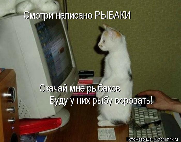 Смотри написано РЫБАКИ Скачай мне рыбаков Буду у них рыбу воровать!... Котоматрица: Смотри написано РЫБАКИ Скачай мне рыбаков Буду у них рыбу воровать!