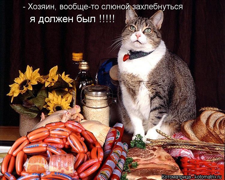 - Хозяин, вообще-то слюной захлебнуться я должен был !!!!!... Котоматрица: - Хозяин, вообще-то слюной захлебнуться я должен был !!!!!