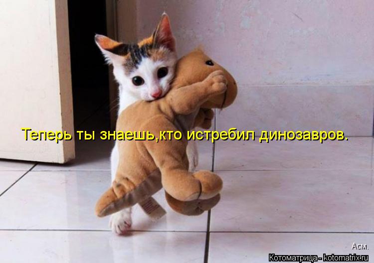 Теперь ты знаешь,кто истребил динозавров. Асм.... Котоматрица: Теперь ты знаешь,кто истребил динозавров. Асм.