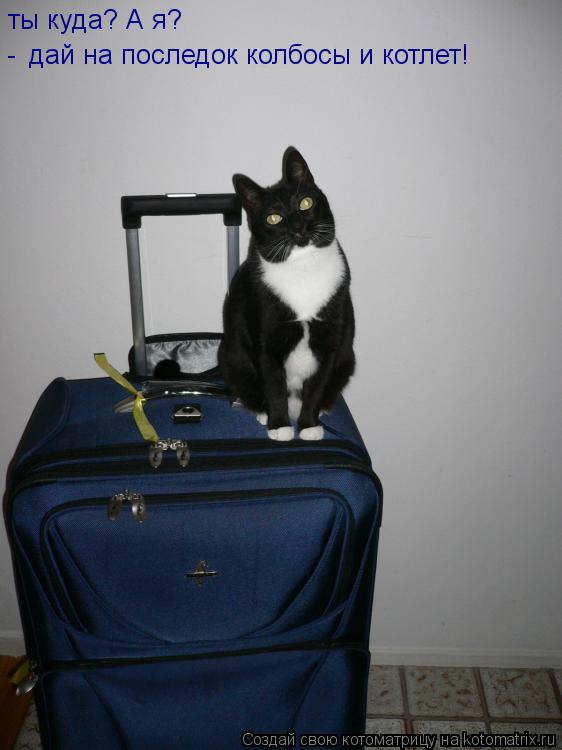 ты куда? А я? дай на последок колбосы и котлет! -... Котоматрица: ты куда? А я? дай на последок колбосы и котлет! -