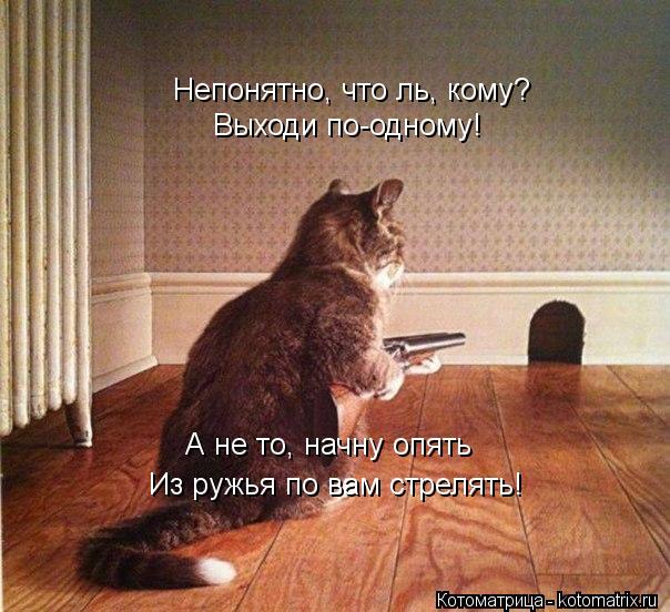 Непонятно, что ль, кому? Выходи по-одному! А не то, начну опять Из ружья по вам стрелять!... Котоматрица: Непонятно, что ль, кому? Выходи по-одному! А не то, начну опять Из ружья по вам стрелять!