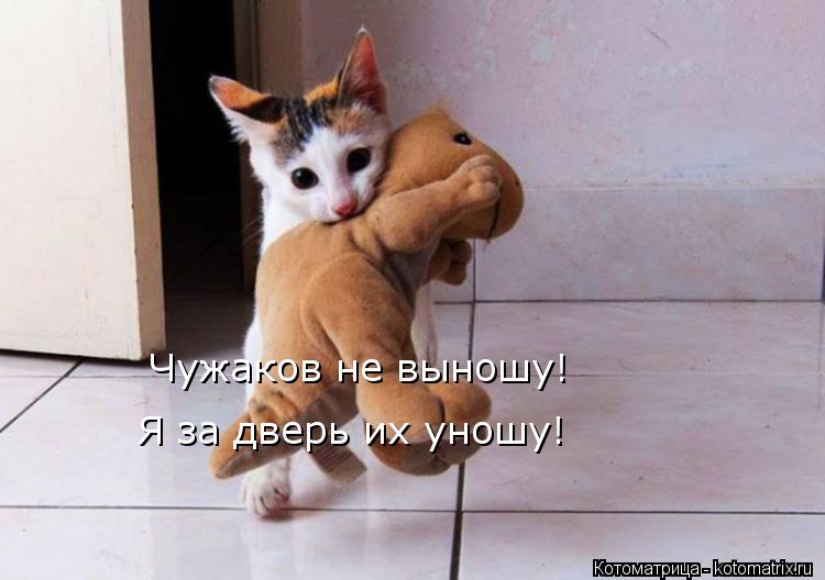 Чужаков не выношу! Я за дверь их уношу!... Котоматрица: Чужаков не выношу! Я за дверь их уношу!