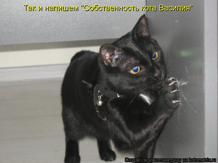 Так и напишем "Собственность кота Василия"... Котоматрица: Так и напишем "Собственность кота Василия"