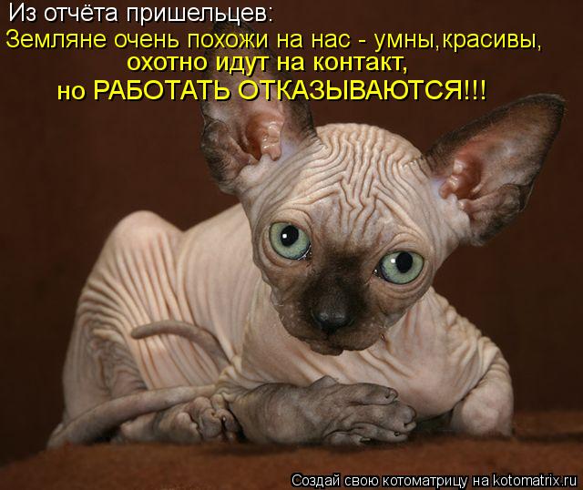 Из отчёта пришельцев: Земляне очень похожи на нас - умны,красивы, охотно идут на контакт, но РАБОТАТЬ... Котоматрица: Из отчёта пришельцев: Земляне очень похожи на нас - умны,красивы, охотно идут на контакт, но РАБОТАТЬ ОТКАЗЫВАЮТСЯ!!!