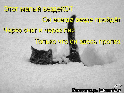 Этот малый вездеКОТ Он всегда везде пройдёт Через снег и через лес Только что он здесь пролез. Асм.... Котоматрица: Этот малый вездеКОТ Он всегда везде пройдёт Через снег и через лес Только что он здесь пролез. Асм.