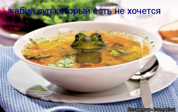 жабий суп который есть не хочется... Котоматрица: жабий суп который есть не хочется
