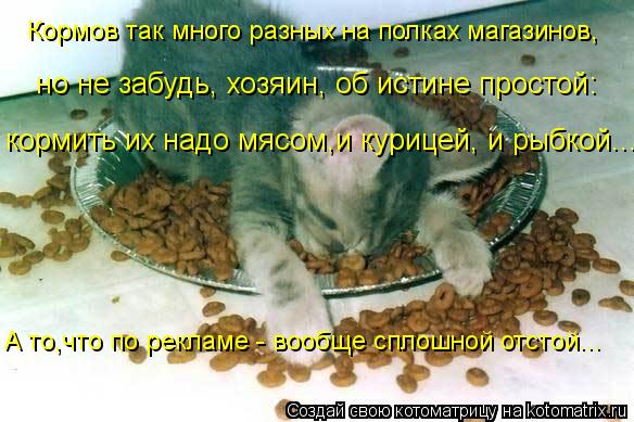 Кормов так много разных на полках магазинов, но не забудь, хозяин, об истине простой: кормить их над... Котоматрица: Кормов так много разных на полках магазинов, но не забудь, хозяин, об истине простой: кормить их надо мясом,и курицей, и рыбкой... А то,что по р