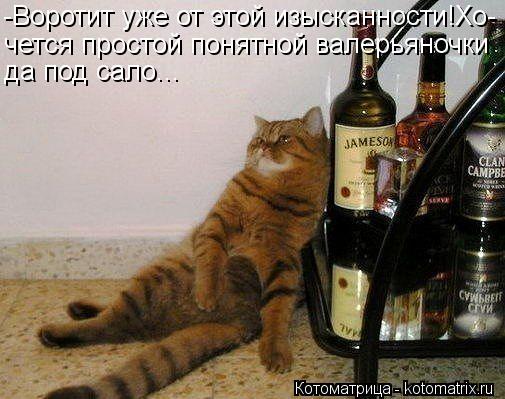 -Воротит уже от этой изысканности!Хо- чется простой понятной валерьяночки да под сало...... Котоматрица: -Воротит уже от этой изысканности!Хо- чется простой понятной валерьяночки да под сало...