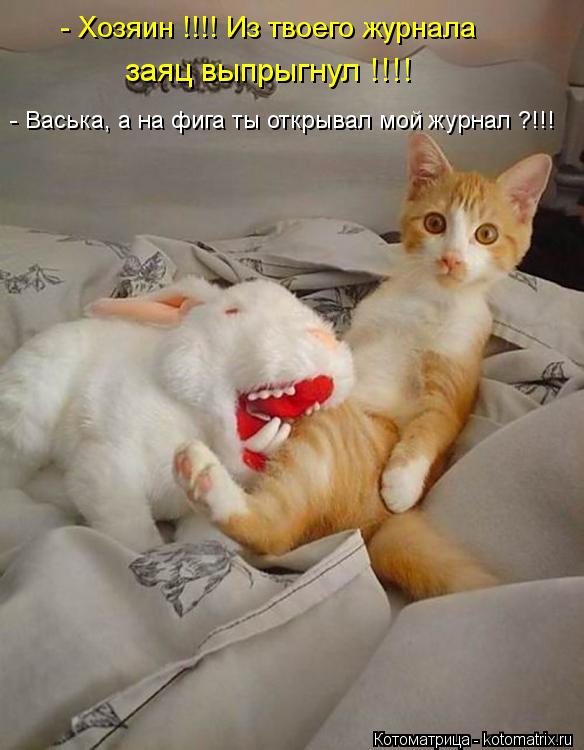 - Хозяин !!!! Из твоего журнала заяц выпрыгнул !!!! - Васька, а на фига ты открывал мой журнал ?!!!... Котоматрица: - Хозяин !!!! Из твоего журнала заяц выпрыгнул !!!! - Васька, а на фига ты открывал мой журнал ?!!!