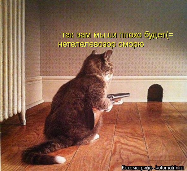 так вам мыши плохо будет(= нетелелевозор сморю... Котоматрица: так вам мыши плохо будет(= нетелелевозор сморю