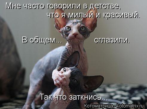 Мне часто говорили в детстве, что я милый и красивый. В общем... сглазили. Так что заткнись...... Котоматрица: Мне часто говорили в детстве, что я милый и красивый. В общем... сглазили. Так что заткнись...