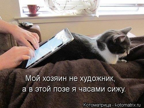 Мой хозяин не художник, а в этой позе я часами сижу.... Котоматрица: Мой хозяин не художник, а в этой позе я часами сижу.