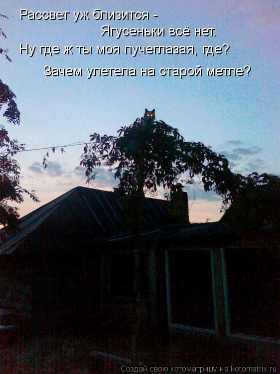 Рассвет уж близится - Ягусеньки всё нет. Зачем улетела на старой метле? Ну где ж ты моя пучеглазая, ... Котоматрица: Рассвет уж близится - Ягусеньки всё нет. Зачем улетела на старой метле? Ну где ж ты моя пучеглазая, где?