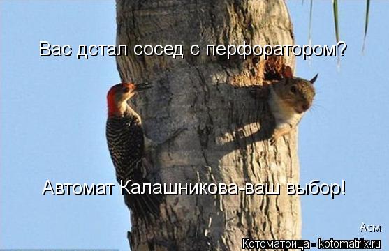 Вас дстал сосед с перфоратором? Автомат Калашникова-ваш выбор! Асм.... Котоматрица: Вас дстал сосед с перфоратором? Автомат Калашникова-ваш выбор! Асм.