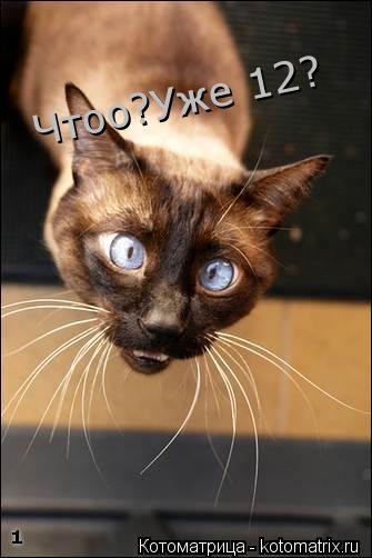 Чтоо?Уже 12?... Котоматрица: Чтоо?Уже 12?