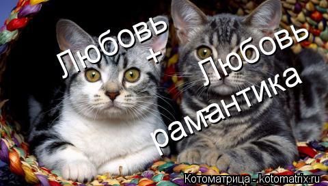 Любовь Любовь + = рамантика... Котоматрица: Любовь Любовь + = рамантика